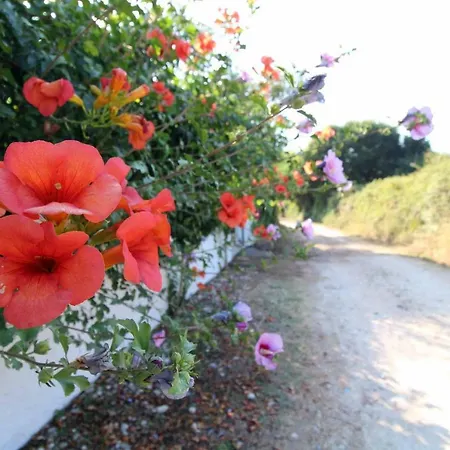 Katomeris House Apartmán Roda (Corfu)